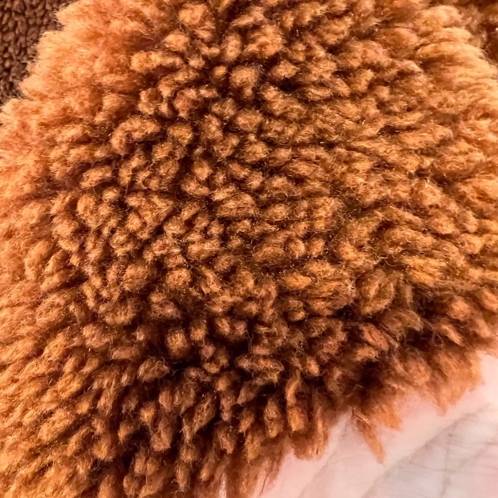 ZARA BRANDY DOUBLE SIDED FAUX FUR COAT JACKET size M - Picture 5 of 12
